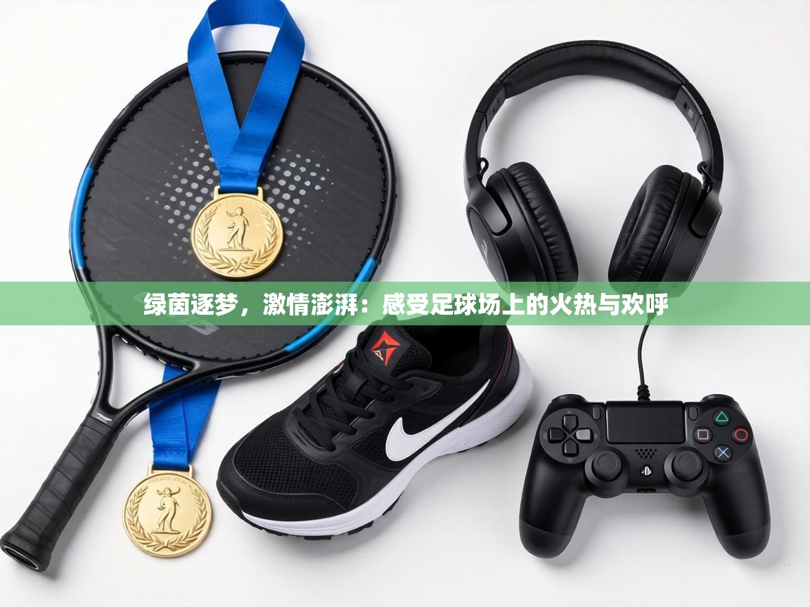 绿茵逐梦,激情澎湃:感受足球场上的火热与欢呼 第2张