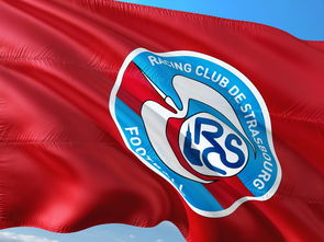 爱游戏入口-帕尔梅拉斯赛前训练公开，备战世俱杯冲刺