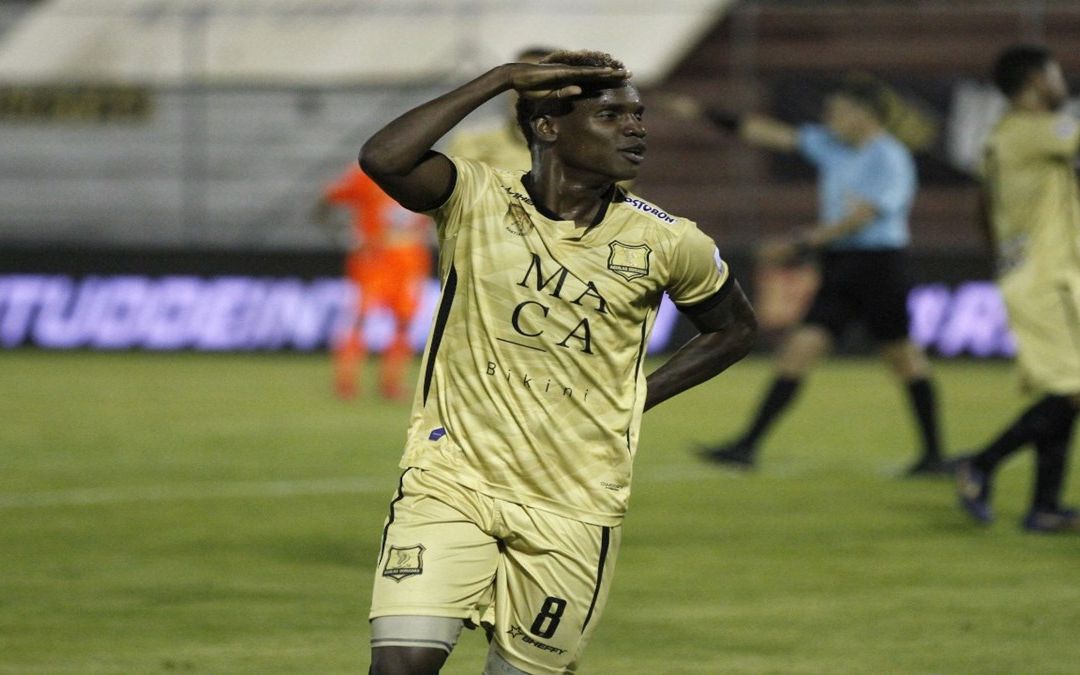 爱游戏网页版-关于希塔菲引进新援，加强前锋实力的信息